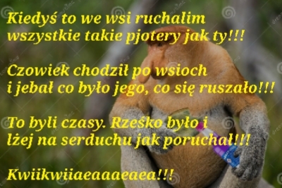 Dzieło sztuki #17379