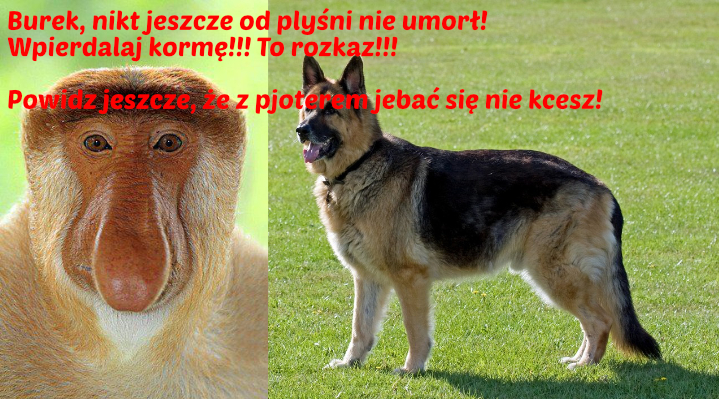 Dzieło sztuki #17381