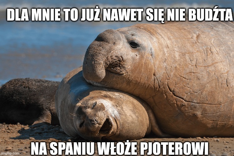Dzieło sztuki #17403