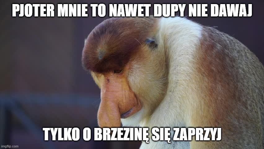Dzieło sztuki #17406