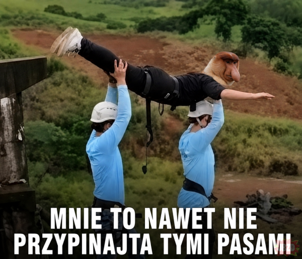 Dzieło sztuki #17411