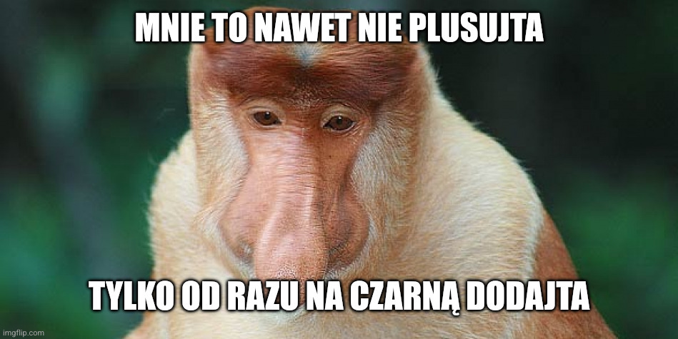 Dzieło sztuki #17422