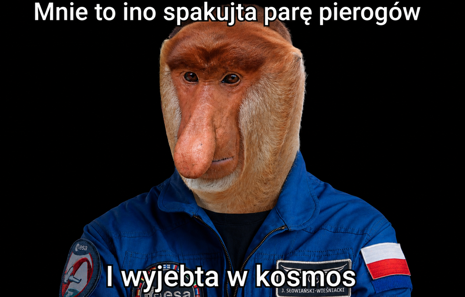 Dzieło sztuki #17431