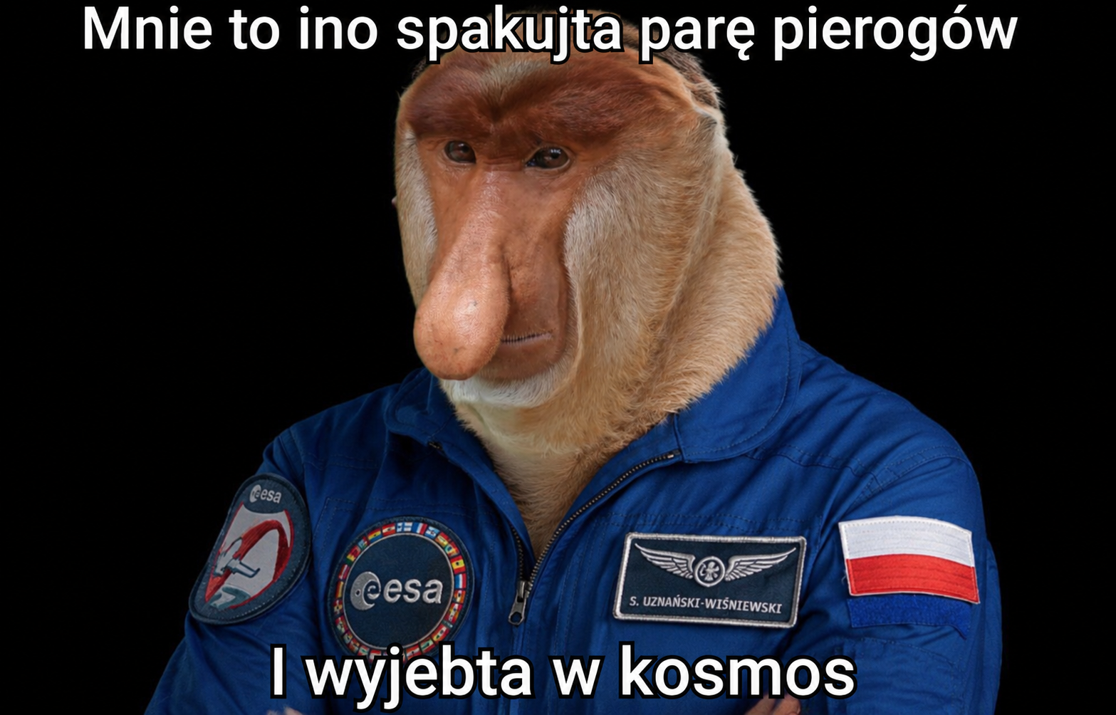 Dzieło sztuki #17441