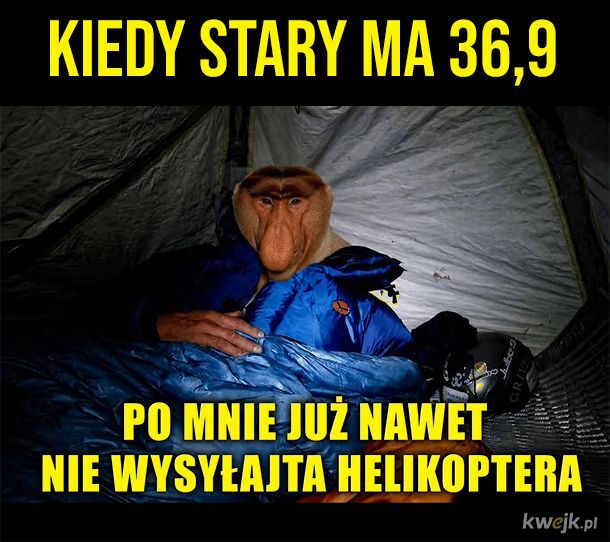 Dzieło sztuki #17443