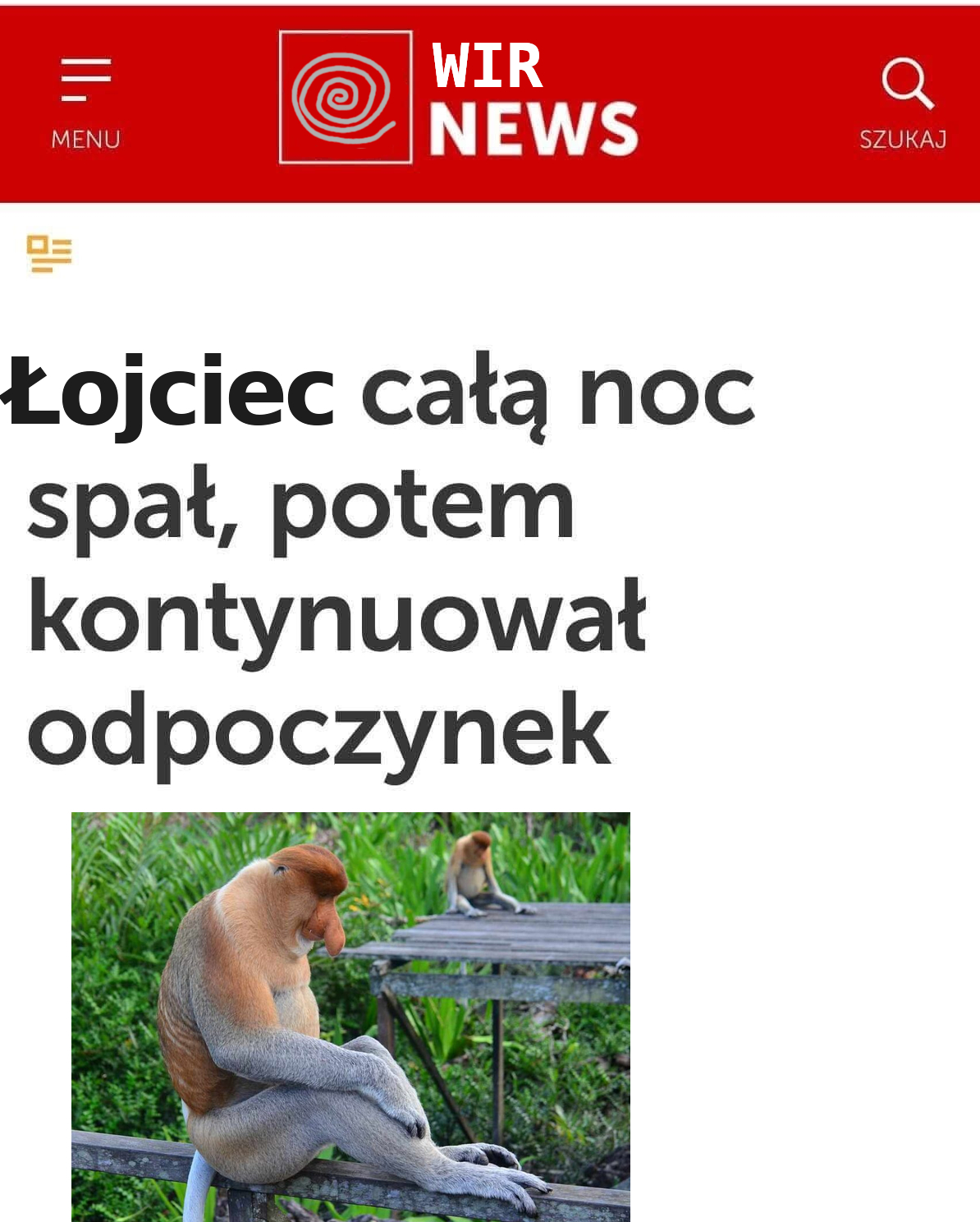 Dzieło sztuki #17448