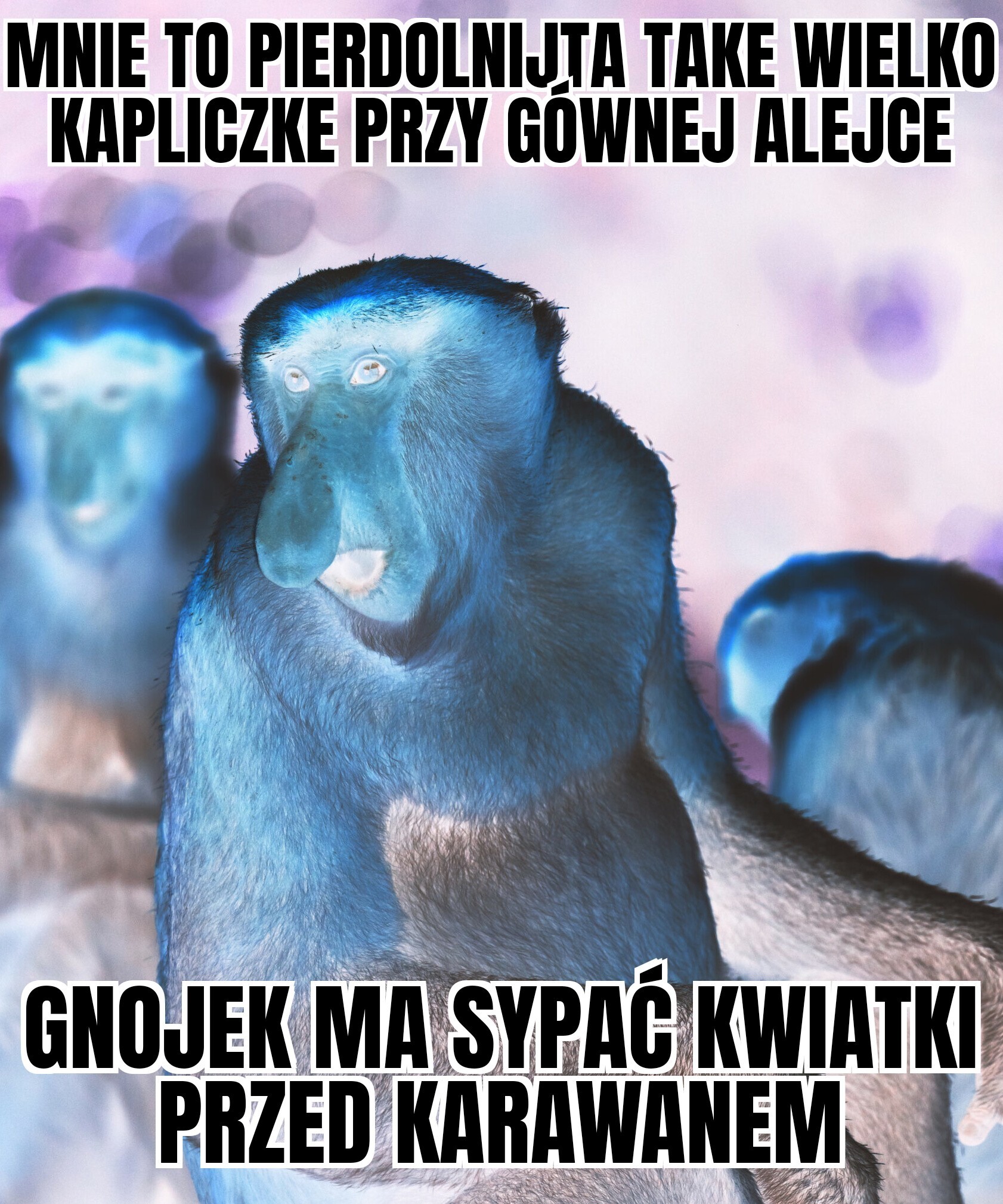 Dzieło sztuki #17453