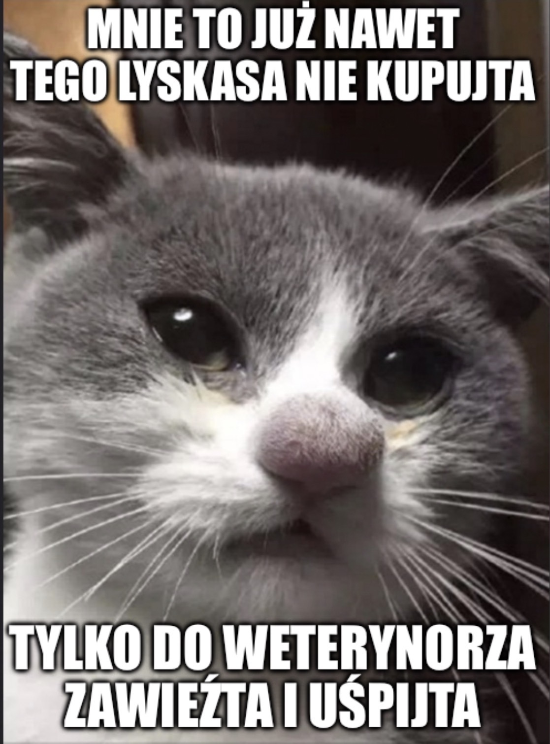 Dzieło sztuki #17455