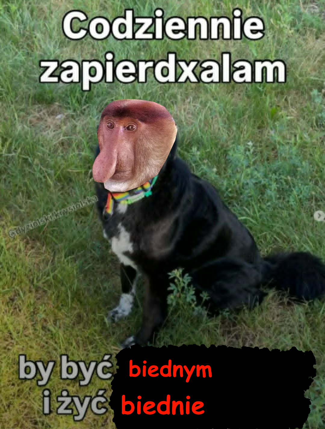 Dzieło sztuki #17460