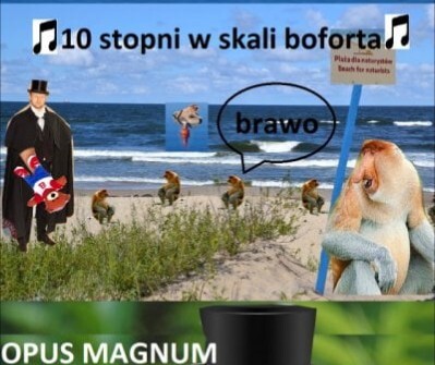 Dzieło sztuki #17466