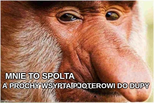 Dzieło sztuki #17467