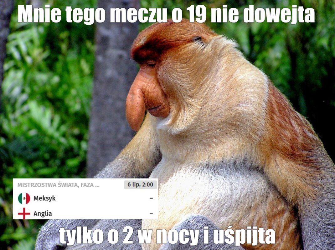 Dzieło sztuki #17475