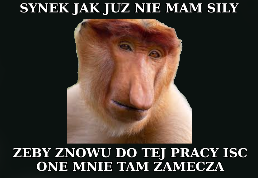 Dzieło sztuki #17481