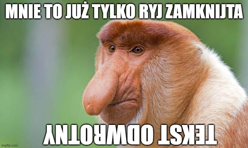 Dzieło sztuki #17483