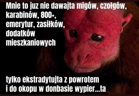 Dzieło sztuki #17484