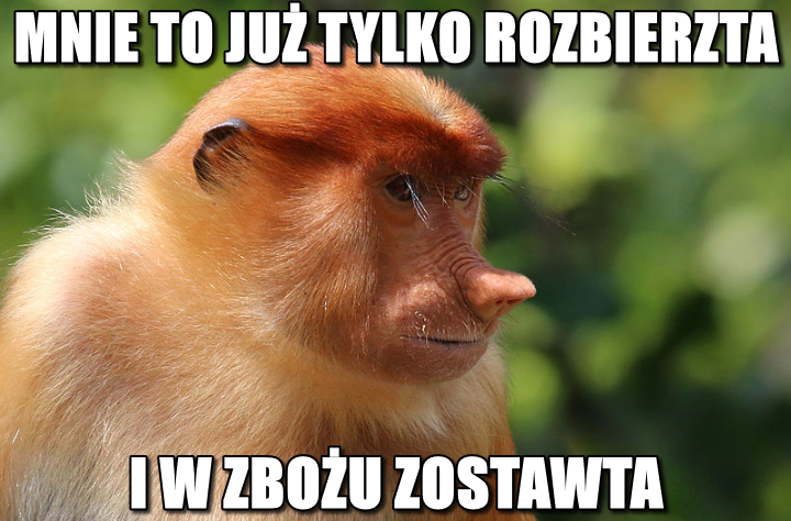 Dzieło sztuki #17493
