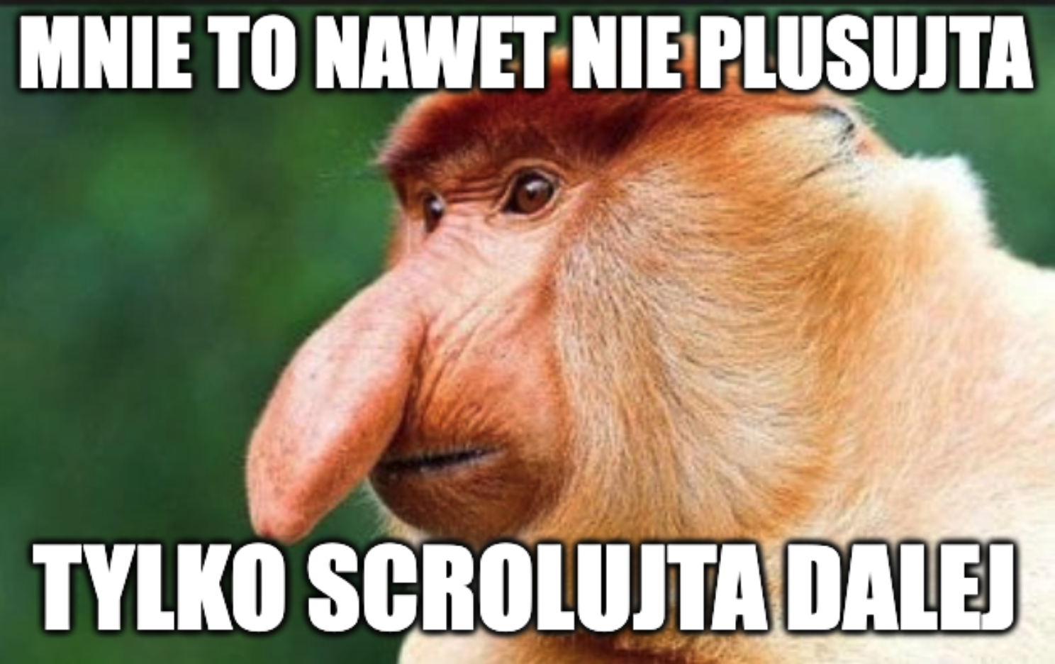 Dzieło sztuki #17495
