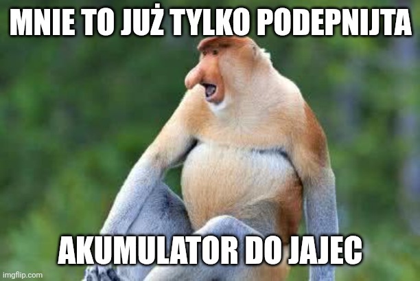 Dzieło sztuki #17496