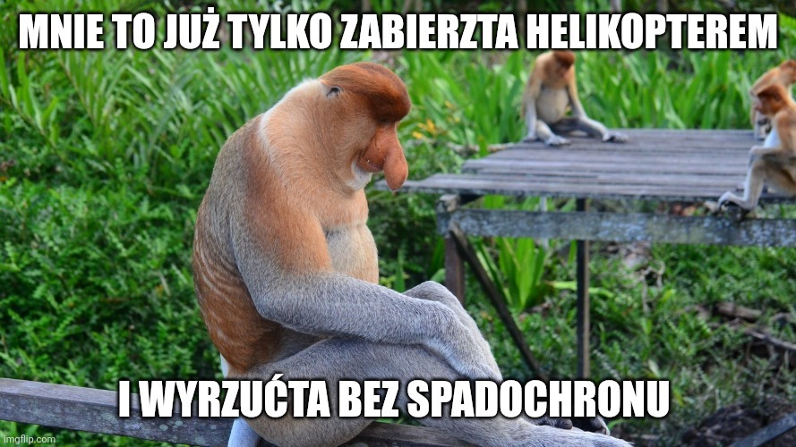 Dzieło sztuki #17499