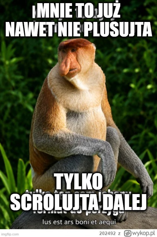 Dzieło sztuki #17509