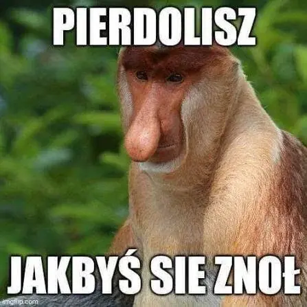 Dzieło sztuki #17529