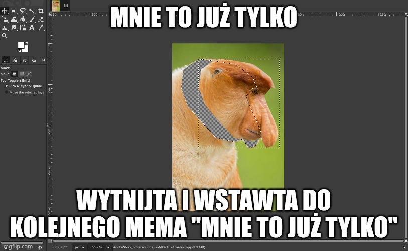 Dzieło sztuki #17531
