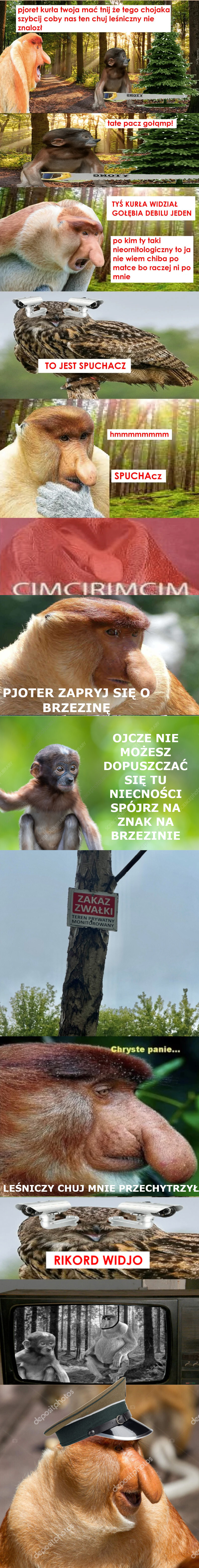 Dzieło sztuki #17539