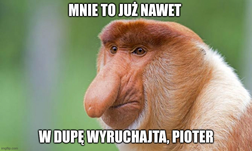 Dzieło sztuki #17544