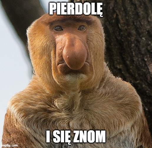 Dzieło sztuki #17546