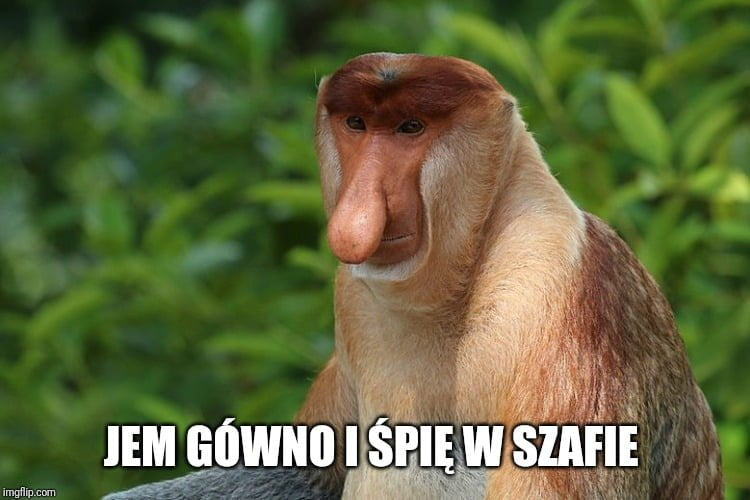 Dzieło sztuki #17553