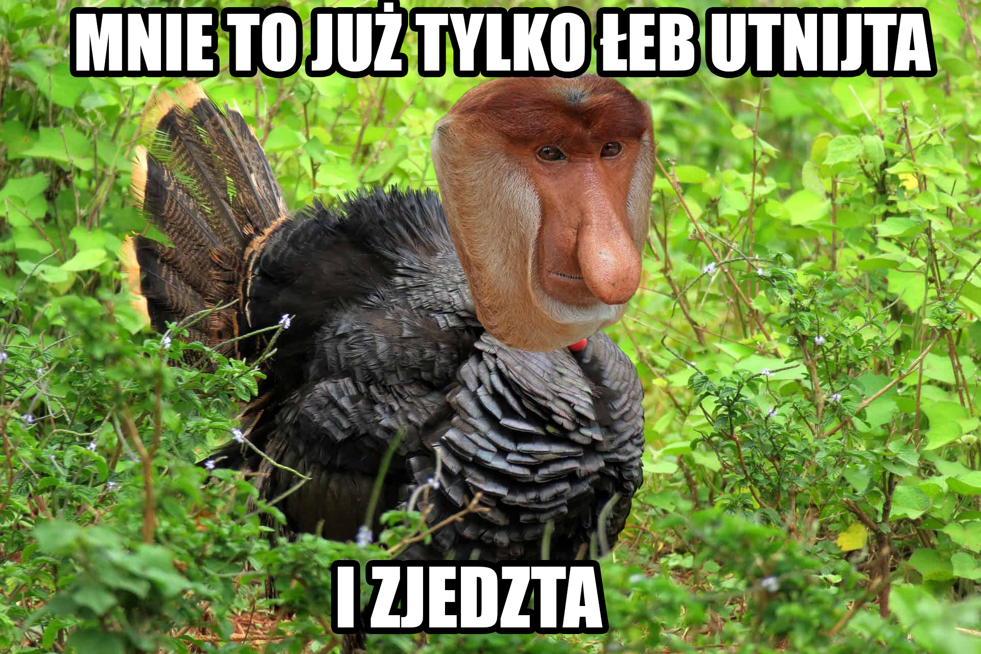 Dzieło sztuki #17555