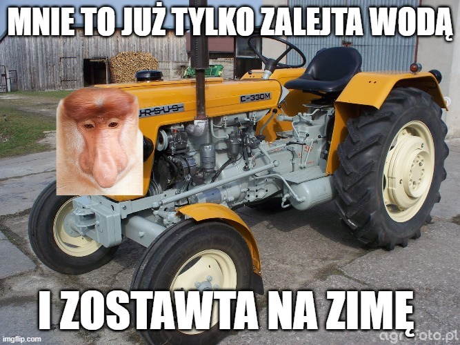 Dzieło sztuki #17561