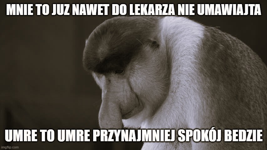 Dzieło sztuki #17566