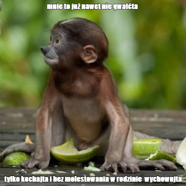 Dzieło sztuki #17569