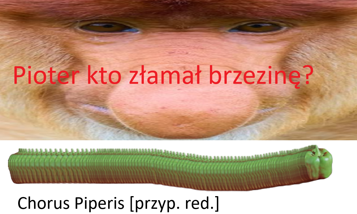 Dzieło sztuki #17583