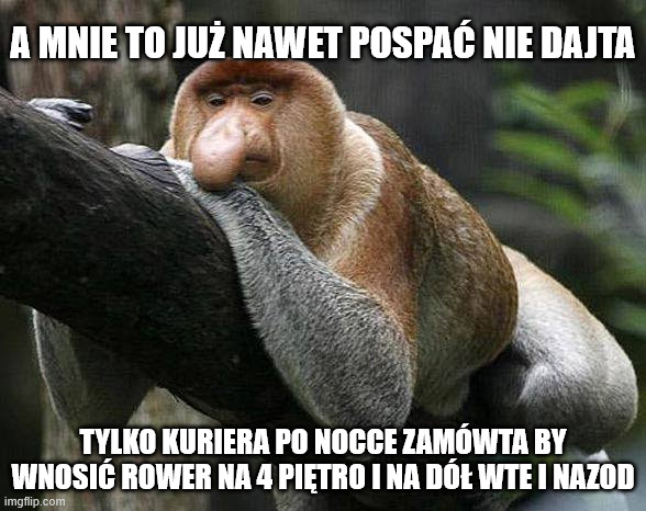 Dzieło sztuki #17594