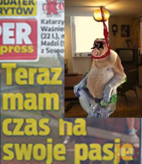 Dzieło sztuki #17620