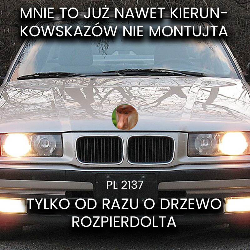 Dzieło sztuki #17624
