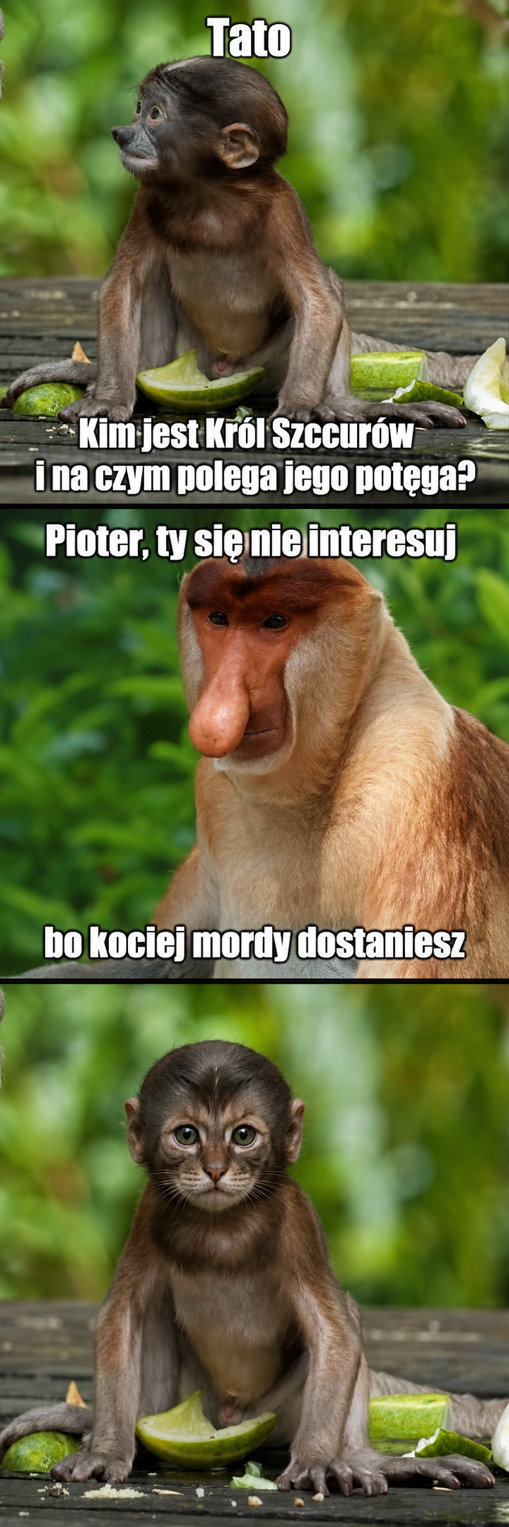 Dzieło sztuki #17629