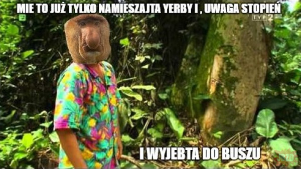 Dzieło sztuki #17640