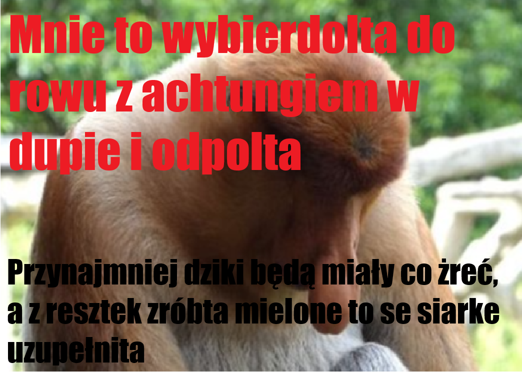 Dzieło sztuki #17641