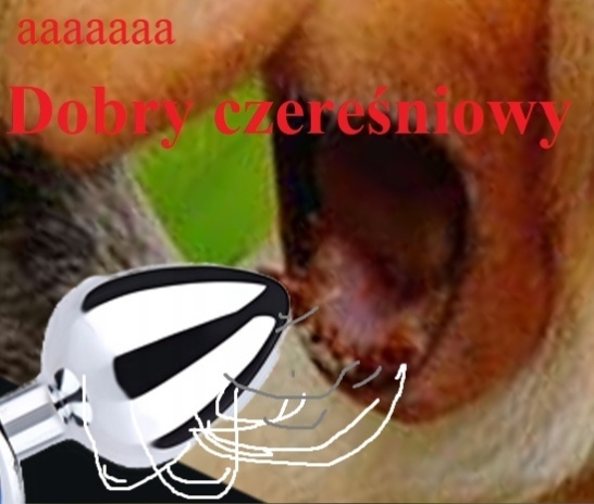 Dzieło sztuki #17642