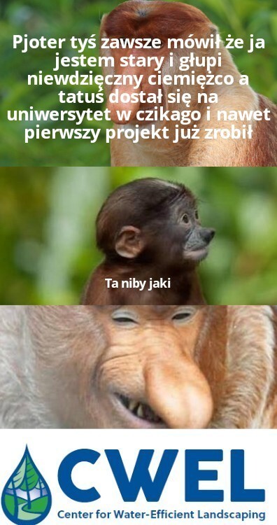 Dzieło sztuki #17693