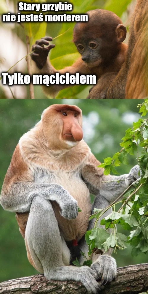 Dzieło sztuki #17722