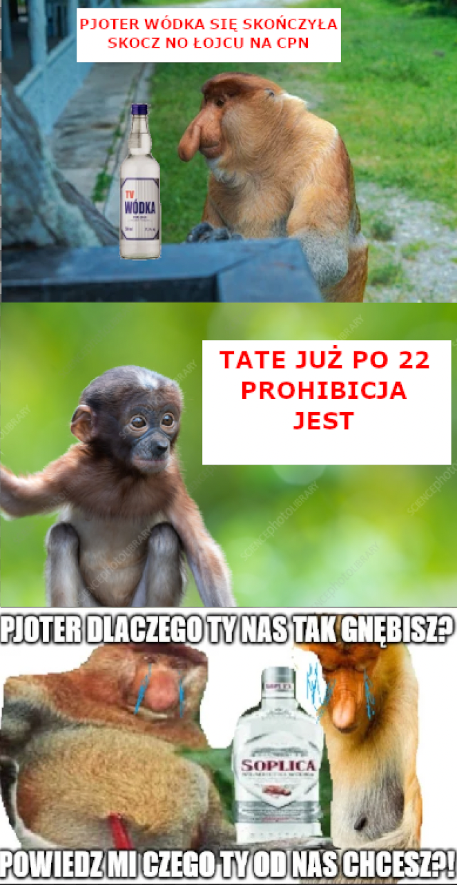 Dzieło sztuki #17724