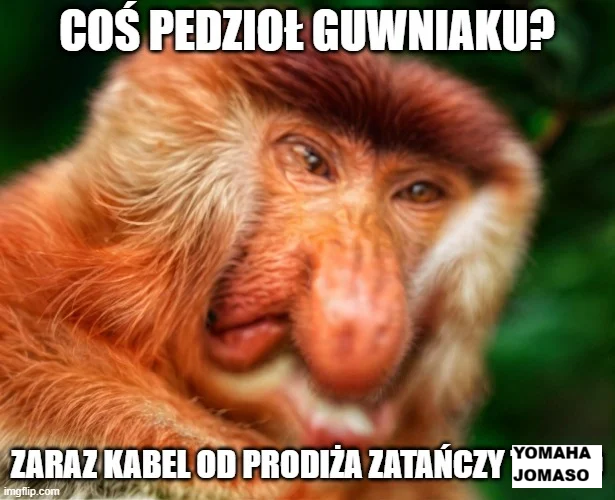 Dzieło sztuki #17743