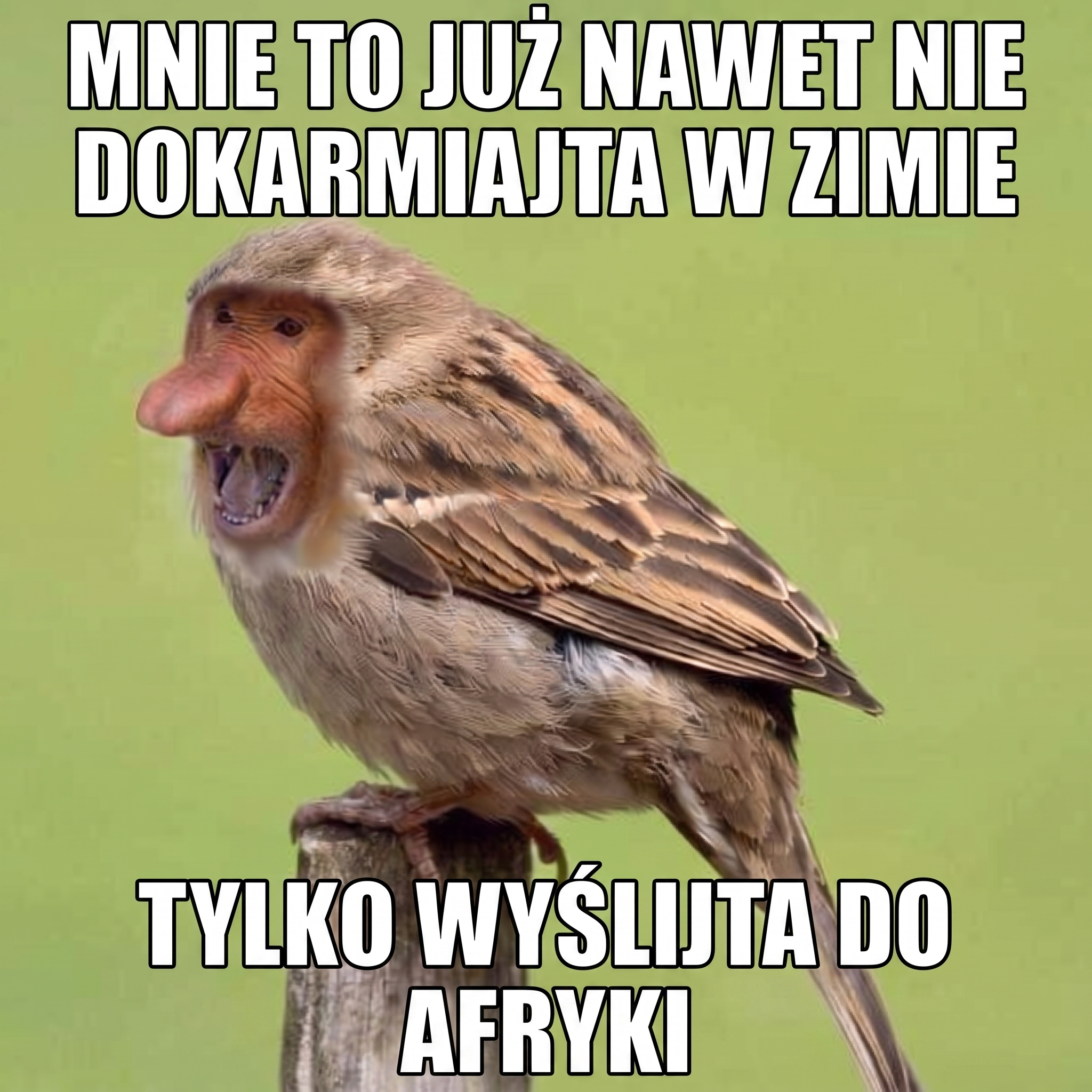 Dzieło sztuki #17771