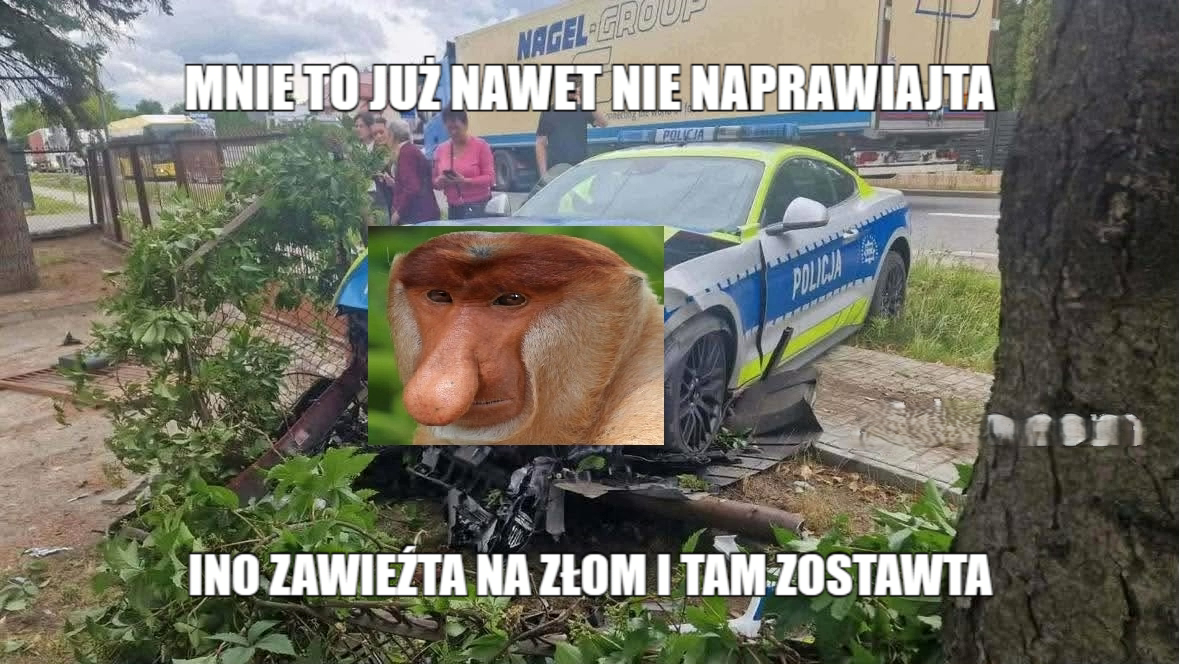 Dzieło sztuki #17788