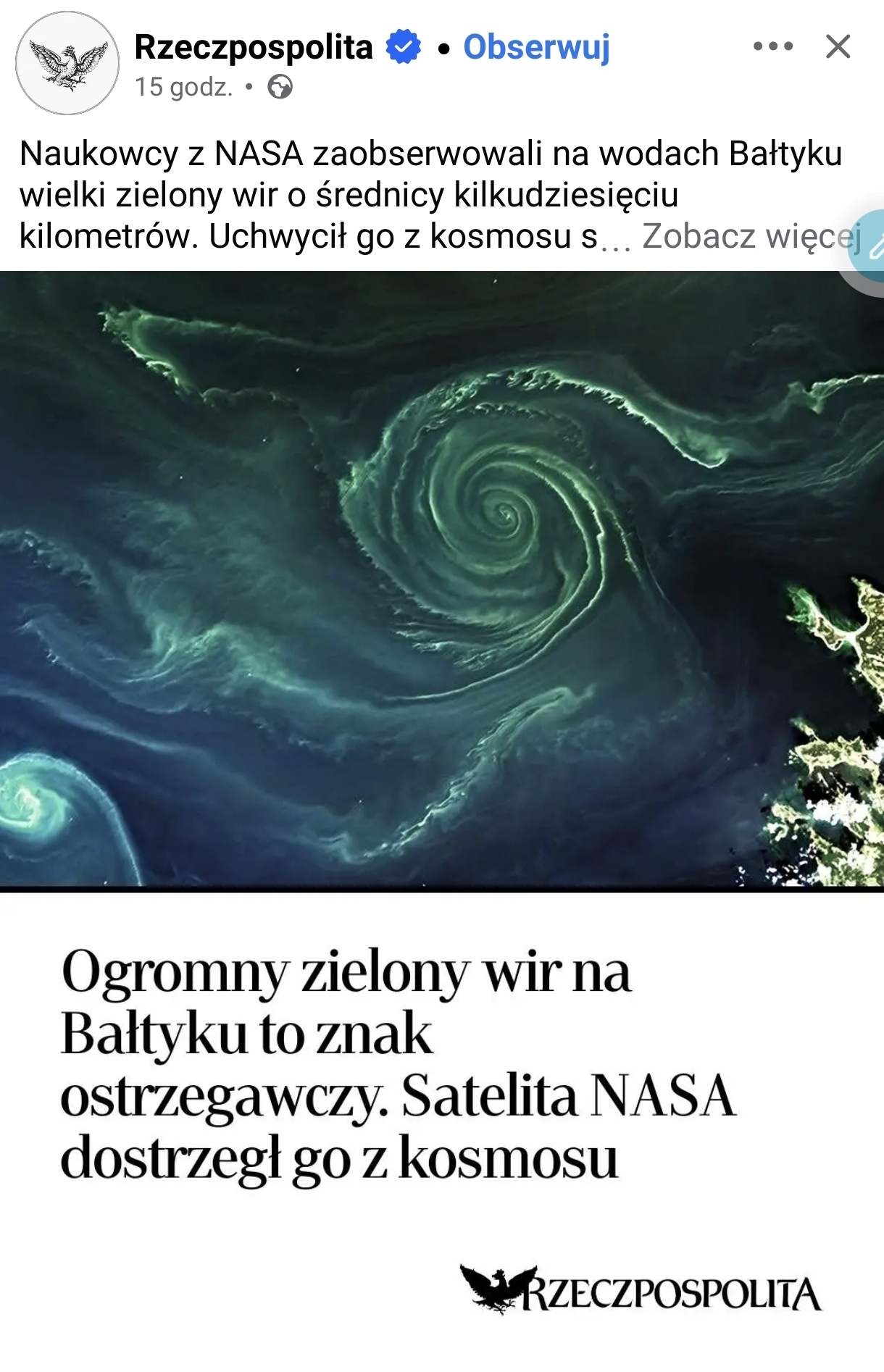 Dzieło sztuki #17804
