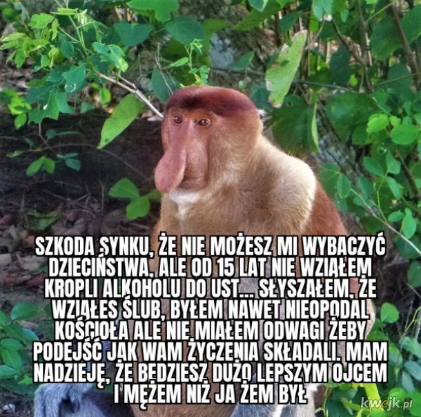 Dzieło sztuki #17825